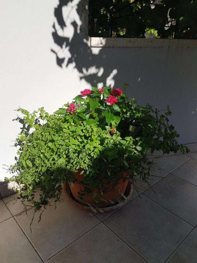 Apartment 22 אומיס מראה חיצוני תמונה