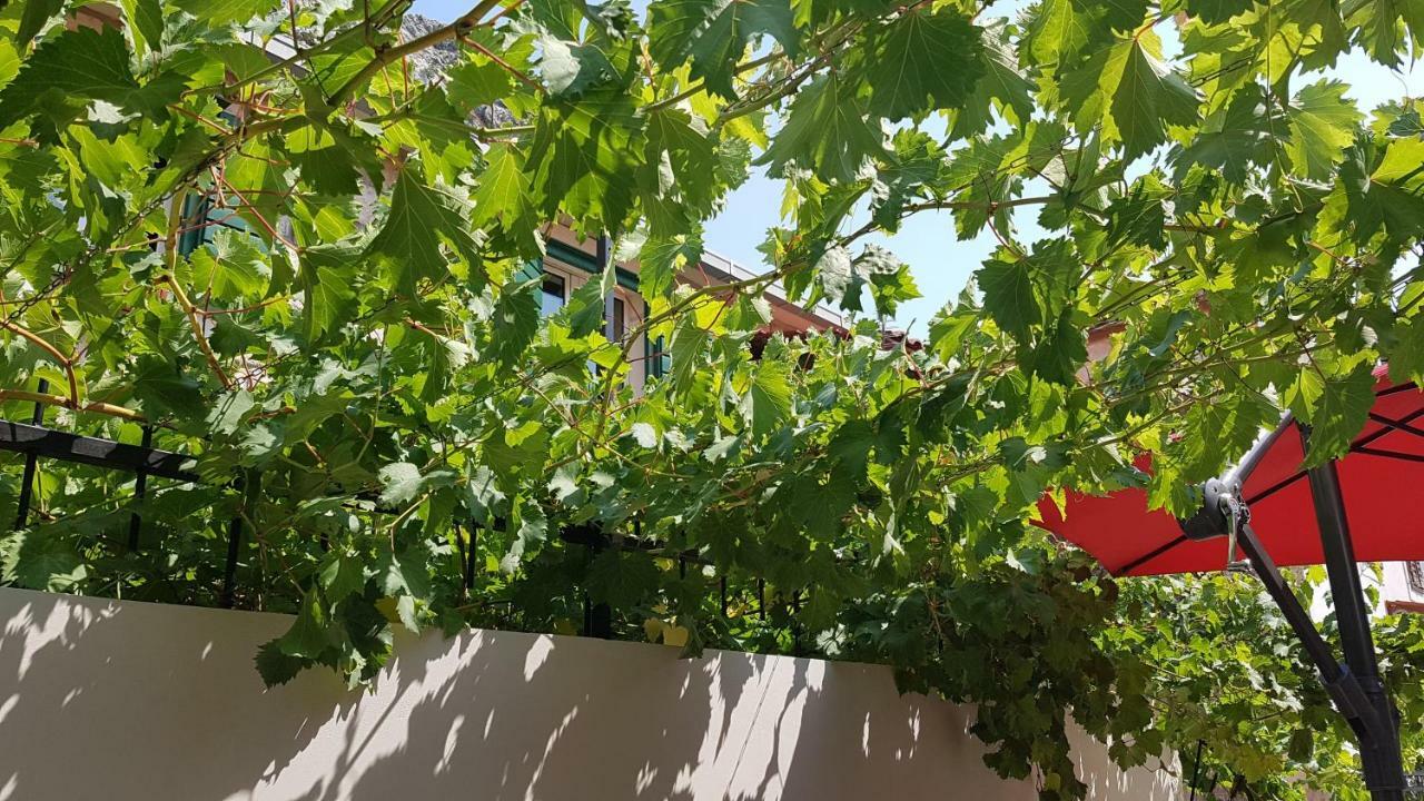 Apartment 22 אומיס מראה חיצוני תמונה